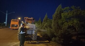 عملیات سم پاشی درختان سطح شهر مجلسی