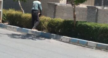 هرس و جمع آوری ضایعات فضای سبز محله مهران