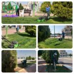 هرس درختان و چمن زنی میادین و معابر شهری مجلسي